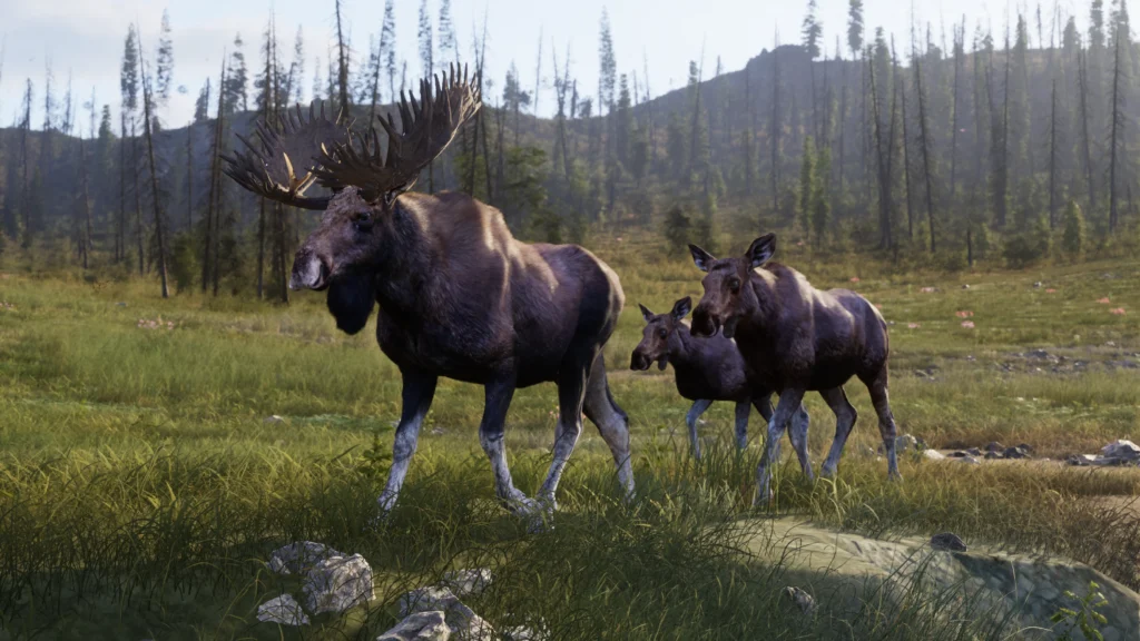 Way Of The Hunter 2 Officially Revealed With New Companion Mechanics And Canadian Setting 5 Way Of The Hunter 2 Officially Revealed With New Companion Mechanics And Canadian Setting 5