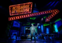 Beetlejuice the Musical