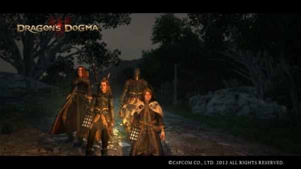 30,000 Screenshots Have Been Uploaded to Dragon's Dogma Pawn Community 1