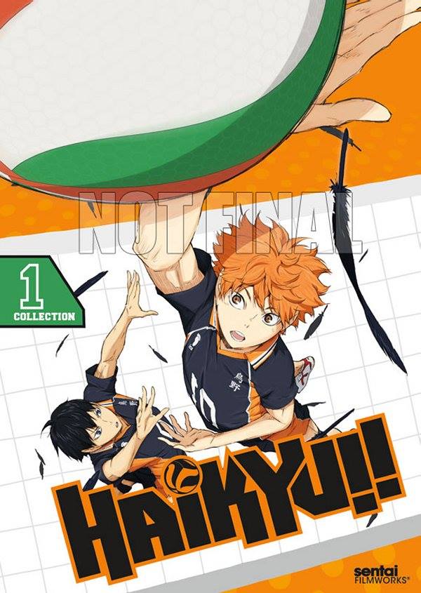 Sentai Filmworks Share Preliminary Cover Artwork for June 2015 Anime Releases 3 10984621_1039925692701209_5366662475711358223_n