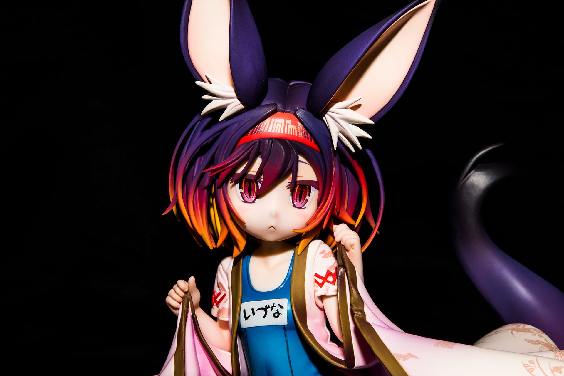 Figured As Much Photo Collection #1 - No Game No Life - Izuna Hatsuse - Swimsuit Style 3 Figured As Much Photo Collection #1 - No Game No Life - Izuna Hatsuse - Swimsuit Style 3