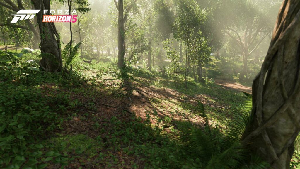 The 11 Biomes of Forza Horizon 5 3