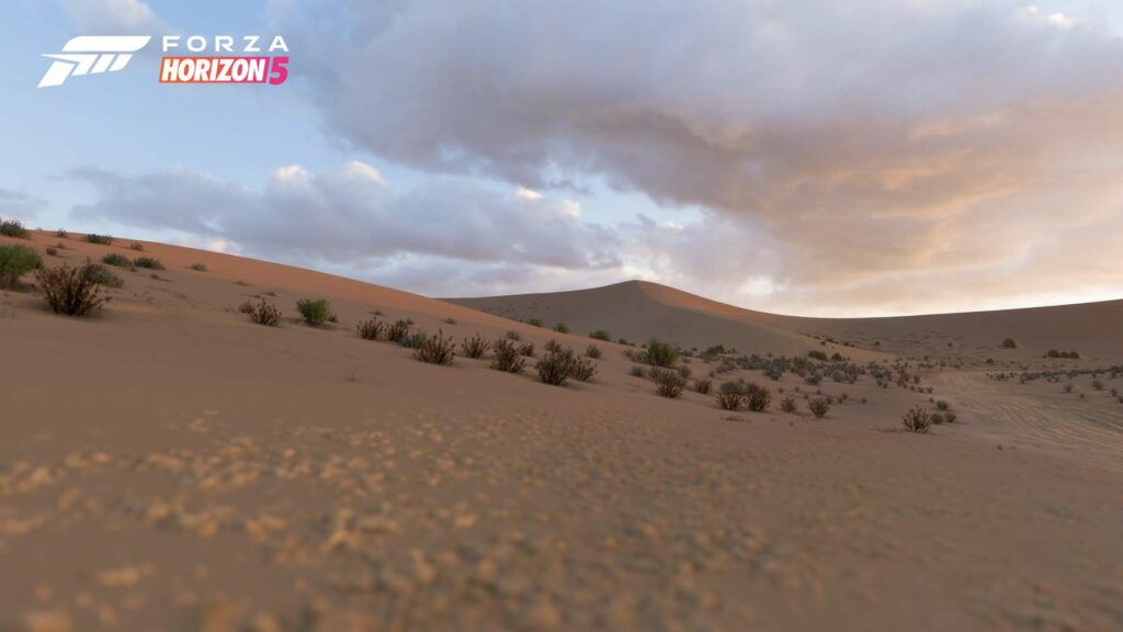 The 11 Biomes of Forza Horizon 5 6