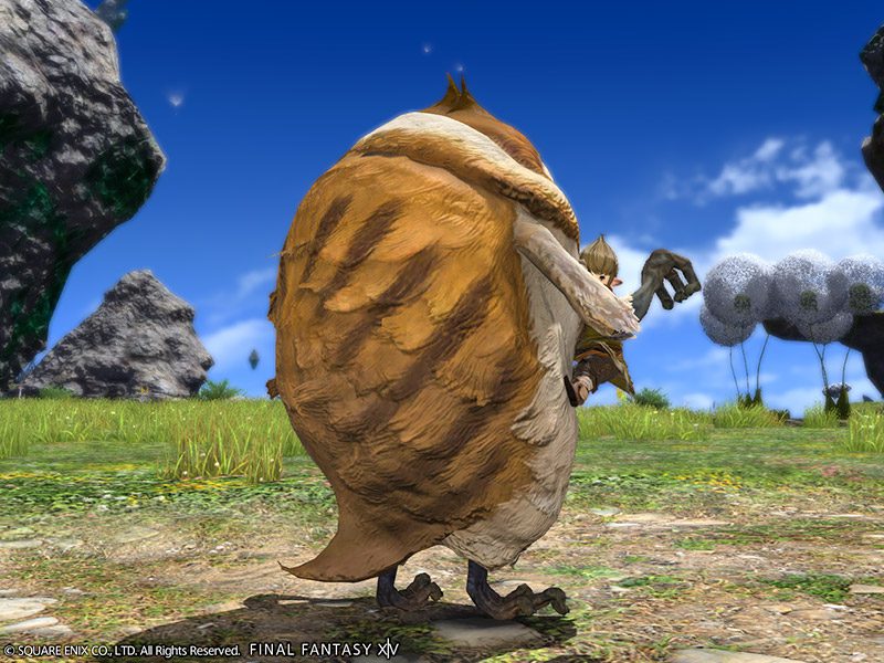 Become the Chicken of Light with New Additions to Final Fantasy XIV's Online Store 2 Become the Chicken of Light with New Additions to Final Fantasy XIV's Online Store 2