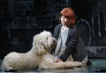 Auditions Open for Roles of Annie and Orphans, and Select Adult Roles in Upcoming Australian Tour of Annie